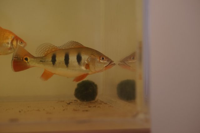 Photo Jun 07, 12 28 05 PM.jpg