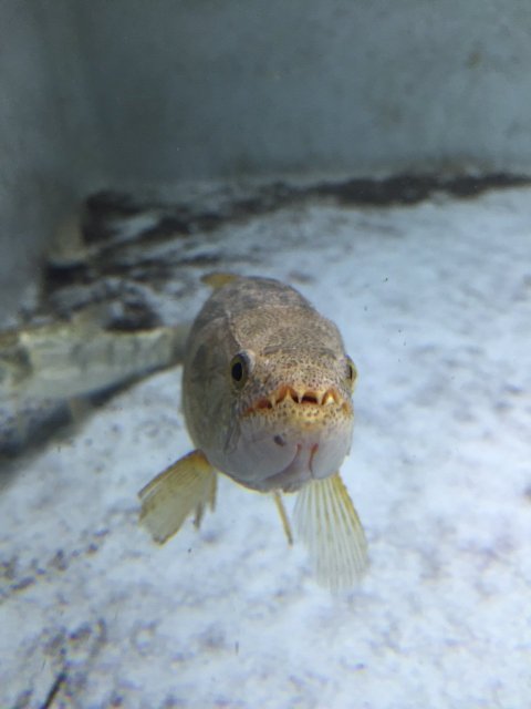 IMG_5272.JPG