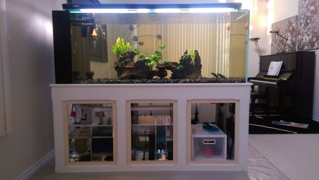 WP_20150713_001.jpg WP_20150713_001.jpg