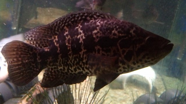 IMG_20150708_244408_780.jpg