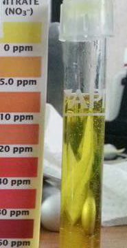 2015-08-08 16.58.54.jpg