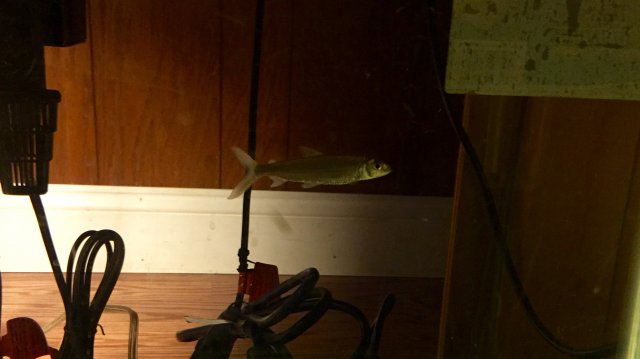 IMG_5619.jpg