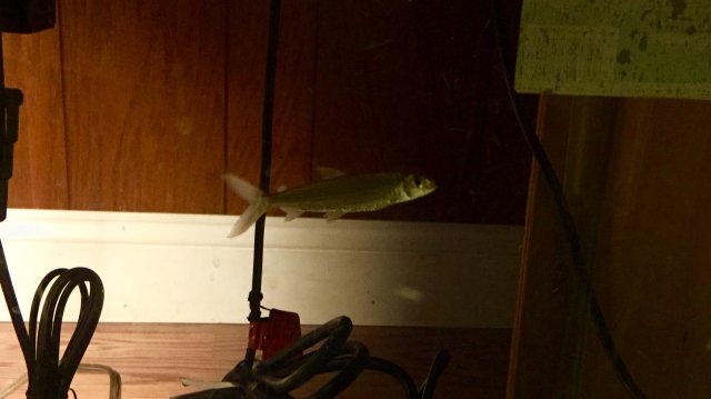 IMG_5622.jpg