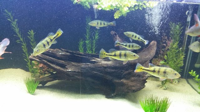 20150809_223939.jpeg