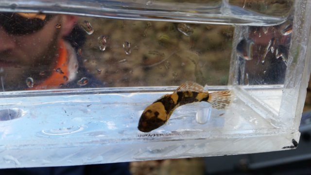 Sculp3.jpg Sculp3.jpg