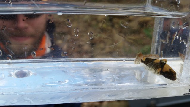 Sculp2.jpg Sculp2.jpg