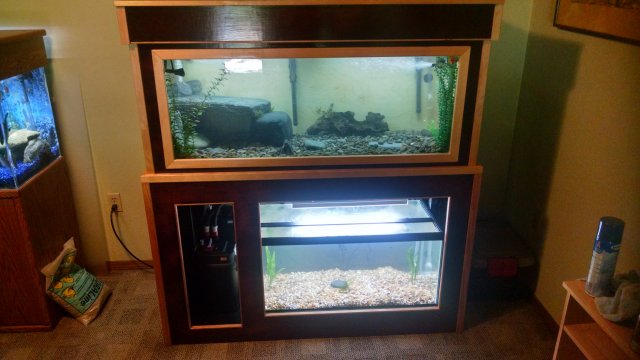 IMG_20150809_153859238_HDR.jpg IMG_20150809_153859238_HDR.jpg