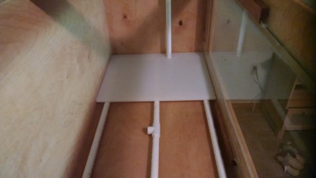 IMG_20150807_131758037.jpg IMG_20150807_131758037.jpg