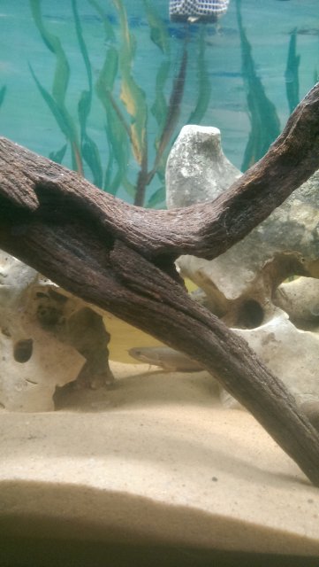 IMAG0367.jpg