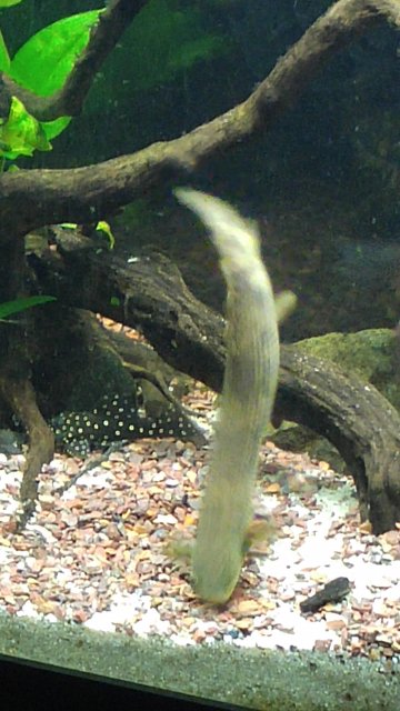 0813152246.jpg