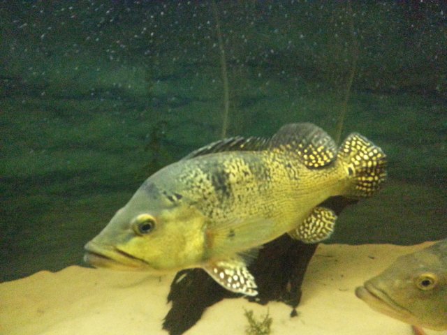 20140213_212337.jpg