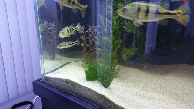 20150817_200922.jpg