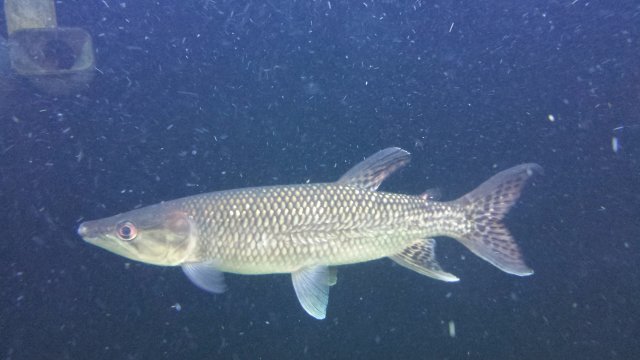 20150818_114352.jpg 20150818_114352.jpg