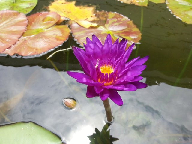 20140730_131207.jpg