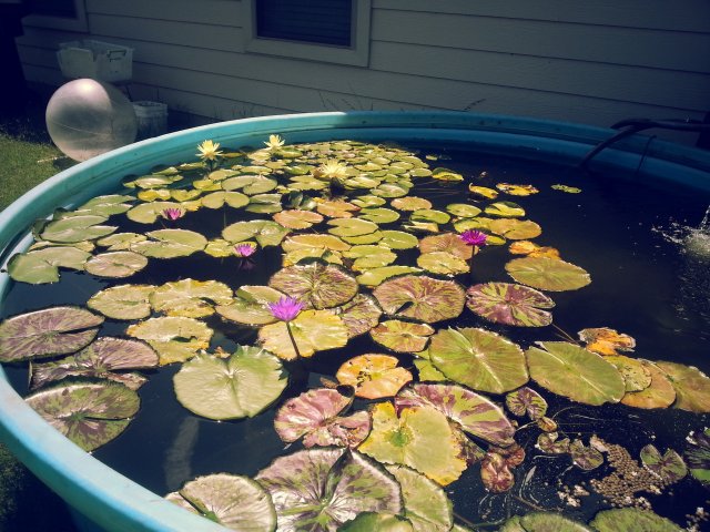 20140806_120559.jpg