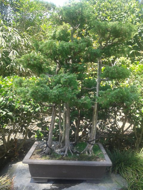 20150819_115308.jpg