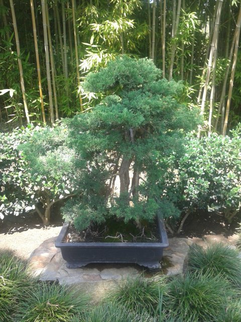 20150819_115354.jpg