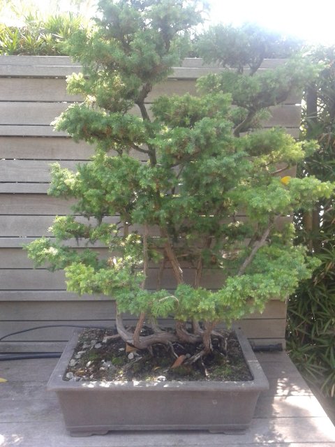 20150819_115346.jpg