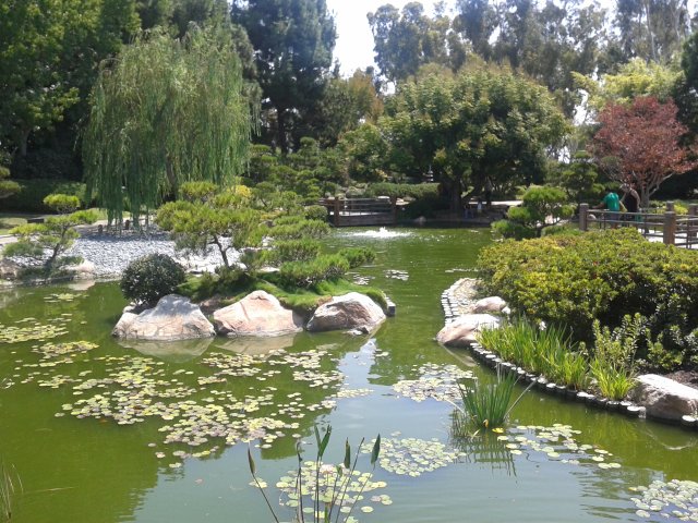 20150819_115818.jpg
