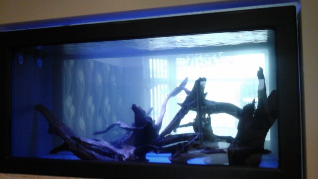 20150814_172348.jpg