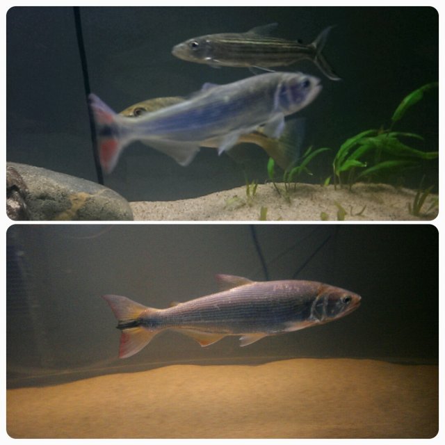 20150820_191553.jpg