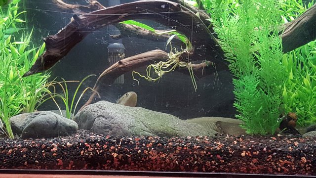 20150820_232028.jpg