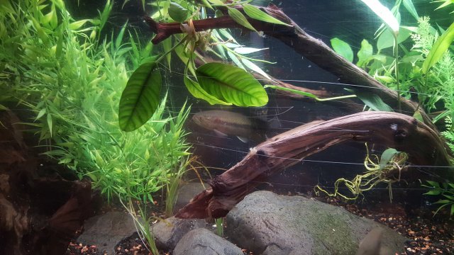 20150820_231513.jpg