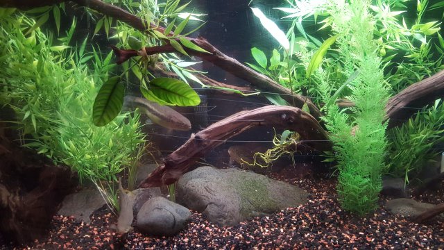 20150820_231451.jpg