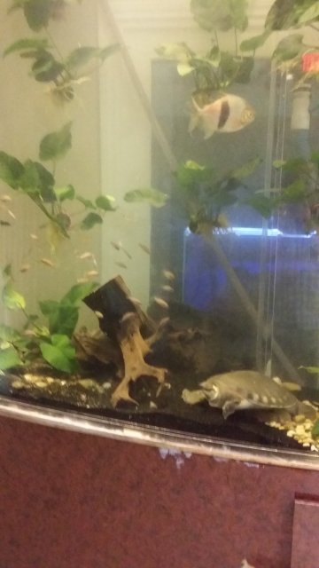 20140407_014300.jpg 20140407_014300.jpg