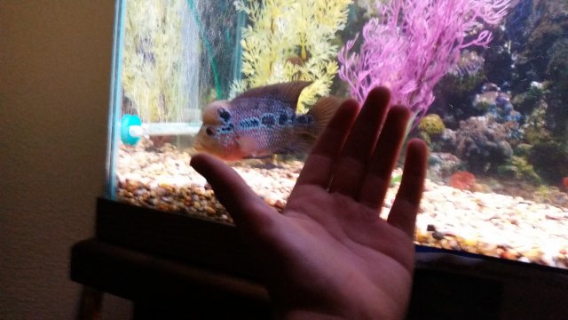 20150826_203448.jpg