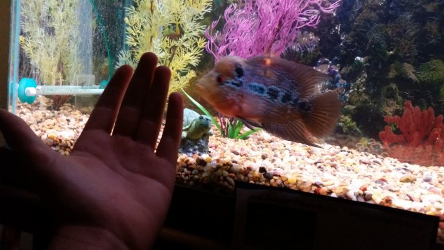 20150826_203445.jpg