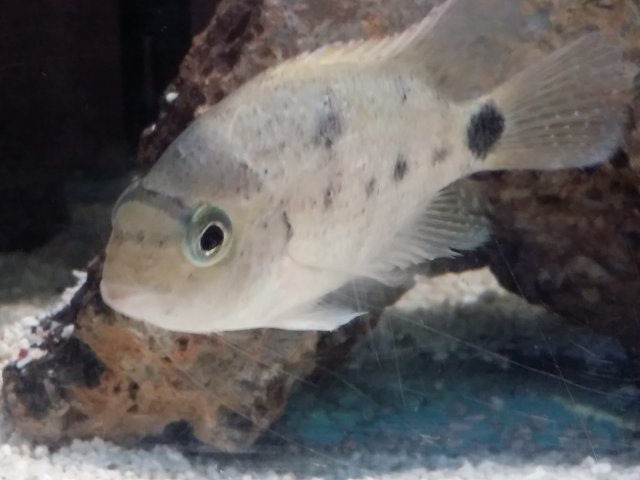 20150825_162151.jpg