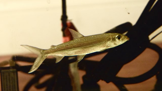 DSC_0006.jpg