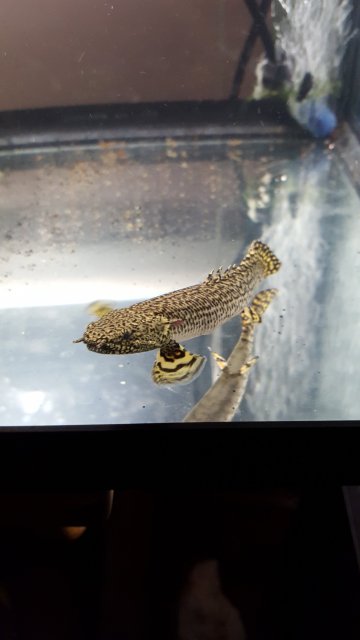 20150829_234420.jpg
