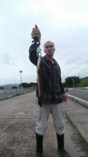 20150830_172928.jpg