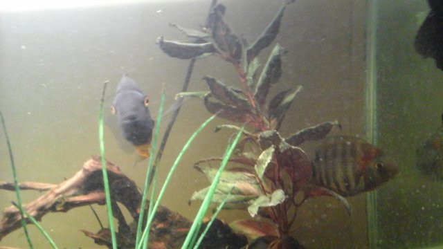 20150901_144155.jpg 20150901_144155.jpg