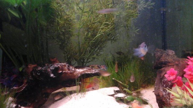 20150901_144130.jpg 20150901_144130.jpg