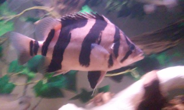 20150831_215852.jpg