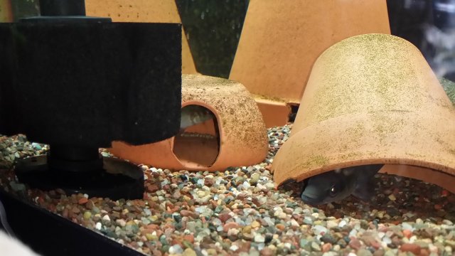 20150831_234422.jpg