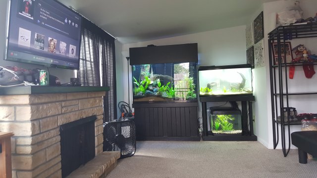 20150530_142558.jpg 20150530_142558.jpg