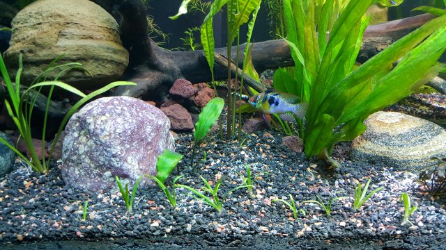 20150904_200313.jpg 20150904_200313.jpg