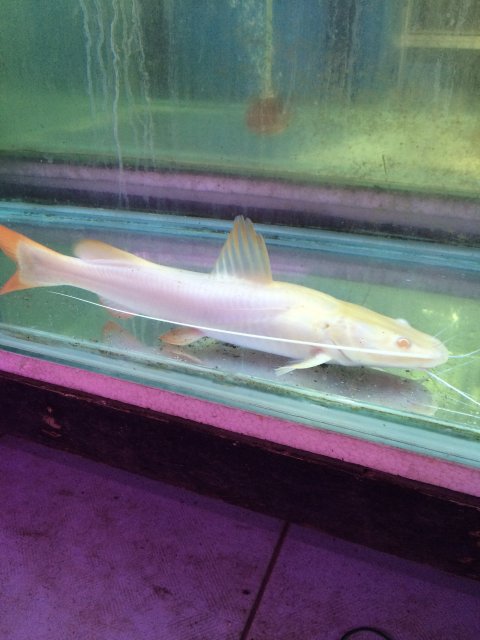 IMG_0146.jpg