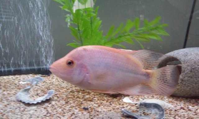 20150905_150932.jpg