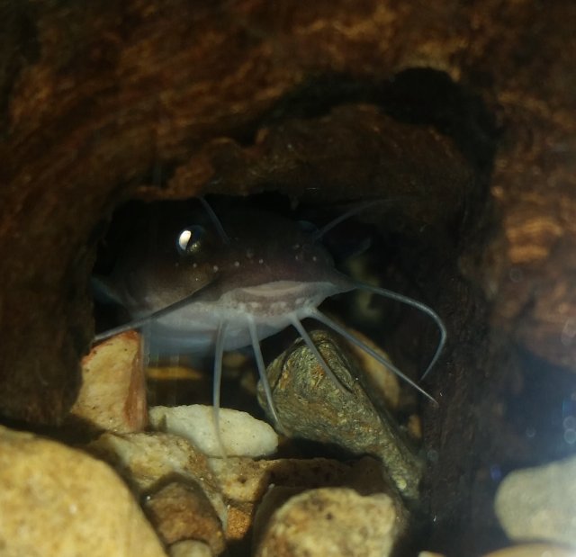 2015-09-06 15.35.05.jpg