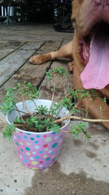 20150910_092915.jpg