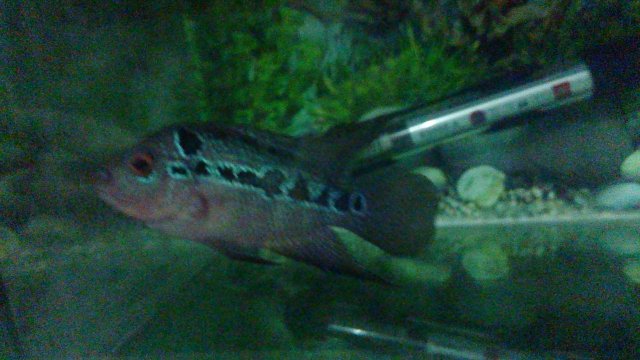 20150910_230421.jpg 20150910_230421.jpg