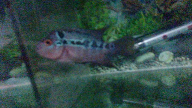 20150910_230432.jpg 20150910_230432.jpg