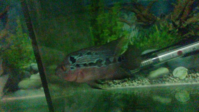 20150910_230500.jpg 20150910_230500.jpg