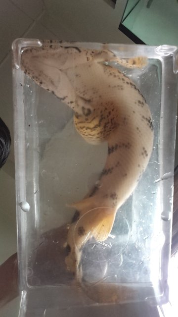 20150909_103822.jpg