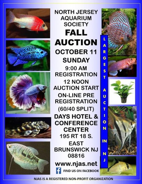 NJAS Fall Auction October 2015.jpg